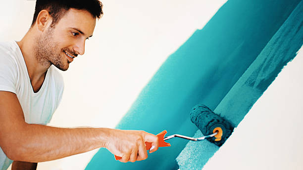 Reliable Timberwood Park, TX Mold Removal Solutions